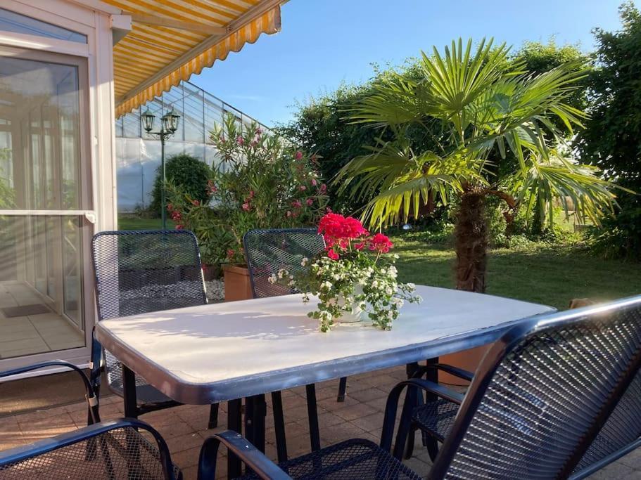 בוטרופ Helle Wohnung Mit Wintergarten - Nahe Ruhrgebiet Und Freizeitpark Movie Park מראה חיצוני תמונה