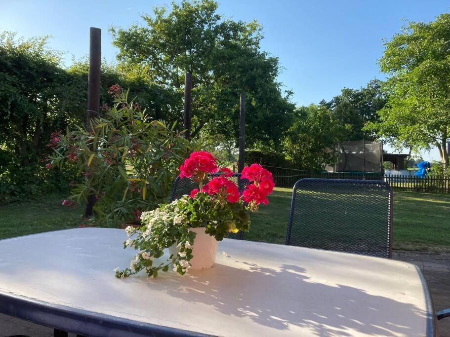 בוטרופ Helle Wohnung Mit Wintergarten - Nahe Ruhrgebiet Und Freizeitpark Movie Park מראה חיצוני תמונה