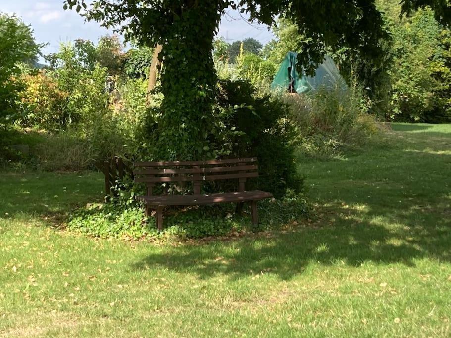 בוטרופ Helle Wohnung Mit Wintergarten - Nahe Ruhrgebiet Und Freizeitpark Movie Park מראה חיצוני תמונה